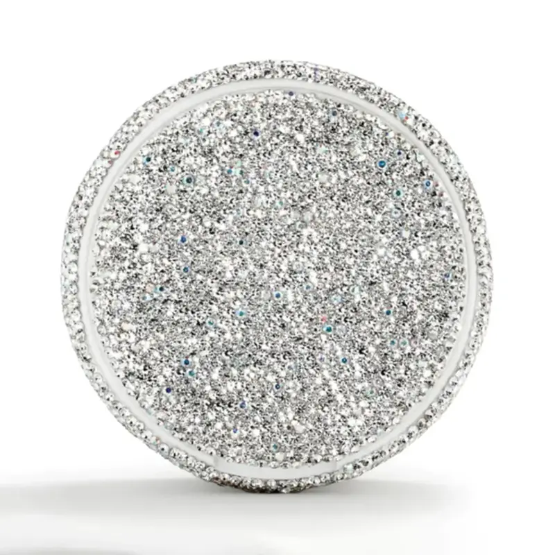 Silver Portable Case Pouch Container